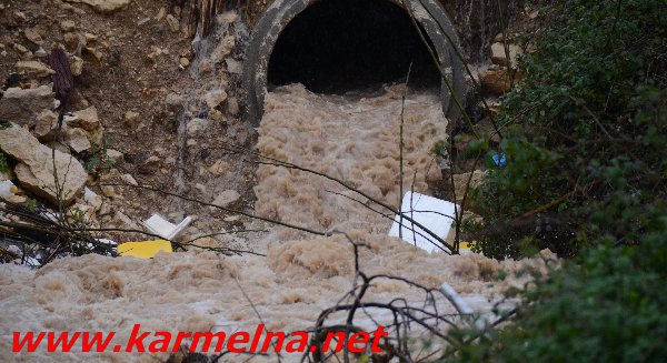 גשמי ברכה בכרמל :סרטון ותמונות